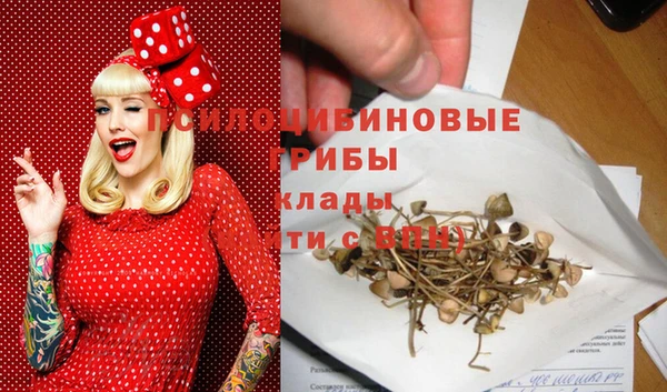 прущий лед Надым